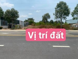 bán đất Mỹ Phước 4 giá rẻ