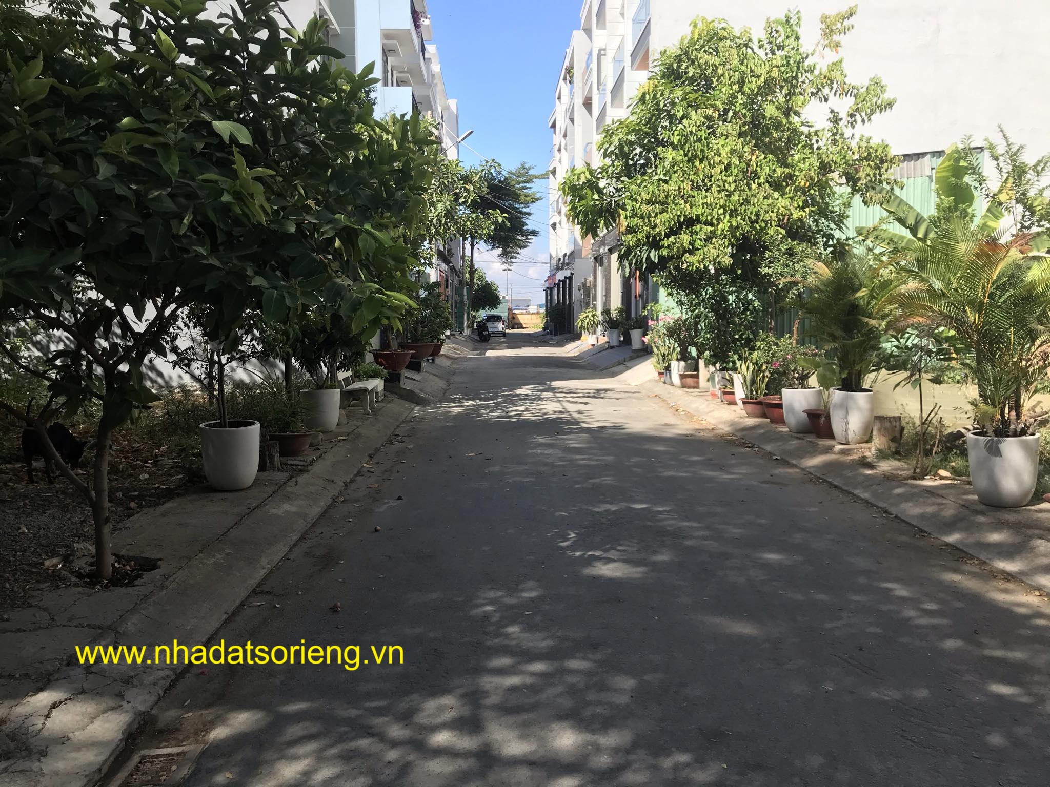 bán đất thị trấn nhà bè khu dân cư the sun