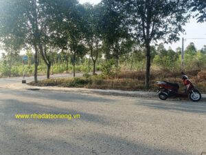 cần mua lô 5b40, lô 5b41, lô 5b42, lô 5b43, lô 5b44, lô 5b45 Mỹ Phước 4