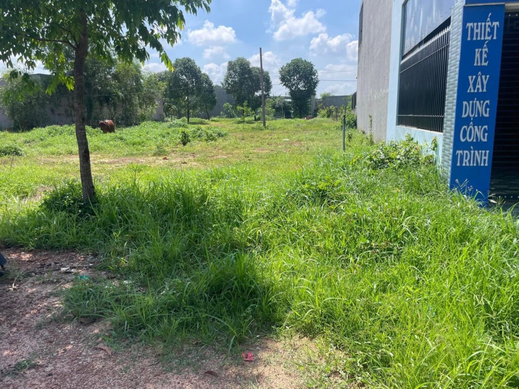 bán lô i33 mỹ phước 3