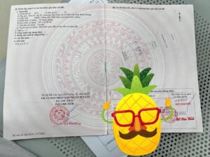 bán đất đường da2 mỹ phước 4